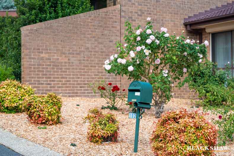 102 Dexter Street  Cook