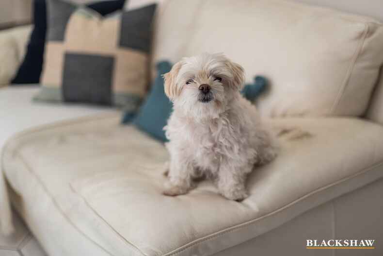 18/45 Stopford Crescent Fadden 18/45 Stopford Crescent Fadden