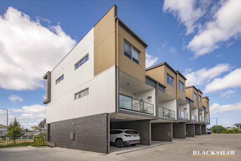 20/20 Pumpurs Crescent Taylor 20/20 Pumpurs Crescent Taylor