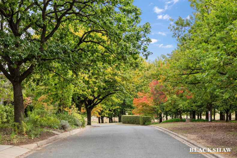 29 Black Street Yarralumla