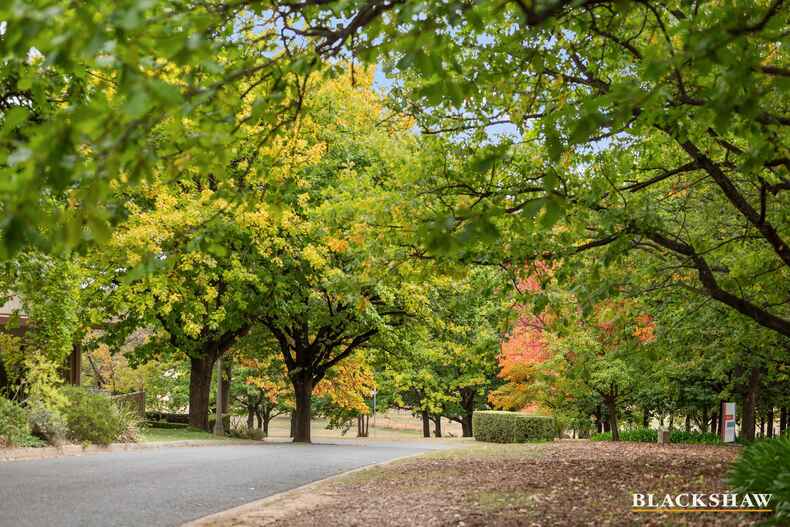 29 Black Street Yarralumla