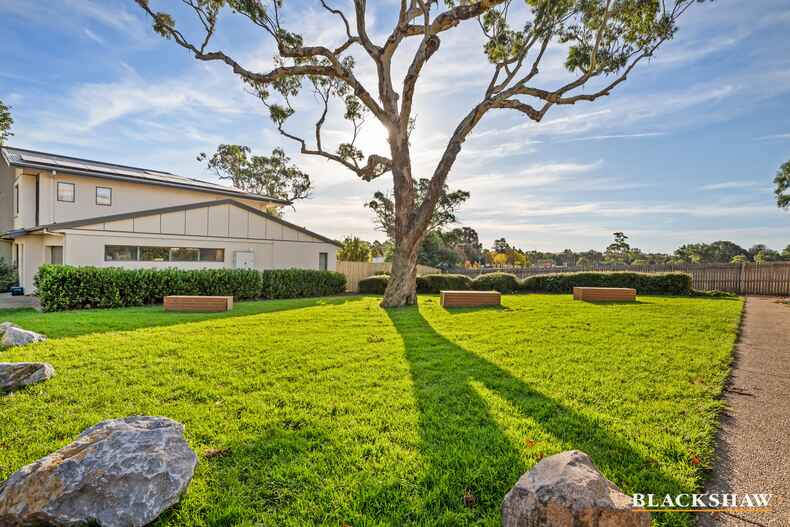 56/215 Aspinall Street Watson