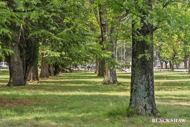 13/12 Towns Crescent Turner