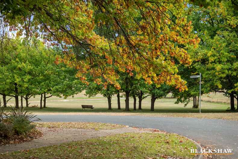 29 Black Street Yarralumla