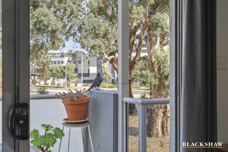 12/75 Elizabeth Jolley Crescent Franklin