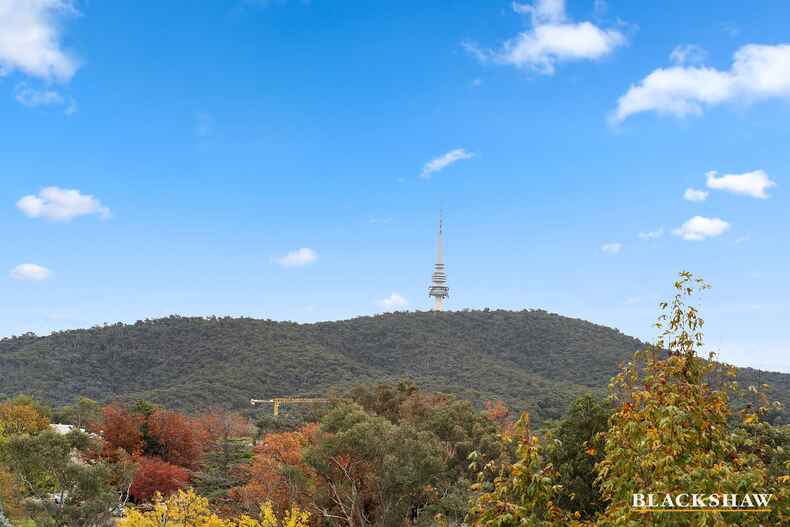 56/2 Edinburgh Avenue City