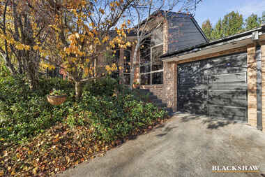 18/12 Crisp Circuit Bruce