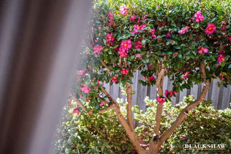 28 Rosewood Glen Jerrabomberra 28 Rosewood Glen Jerrabomberra