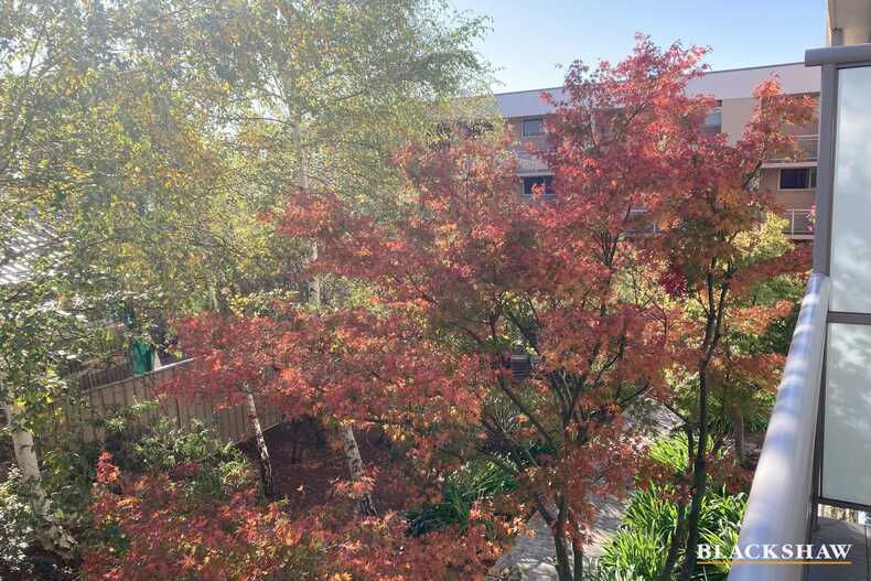 36/39-43 Crawford Street Queanbeyan