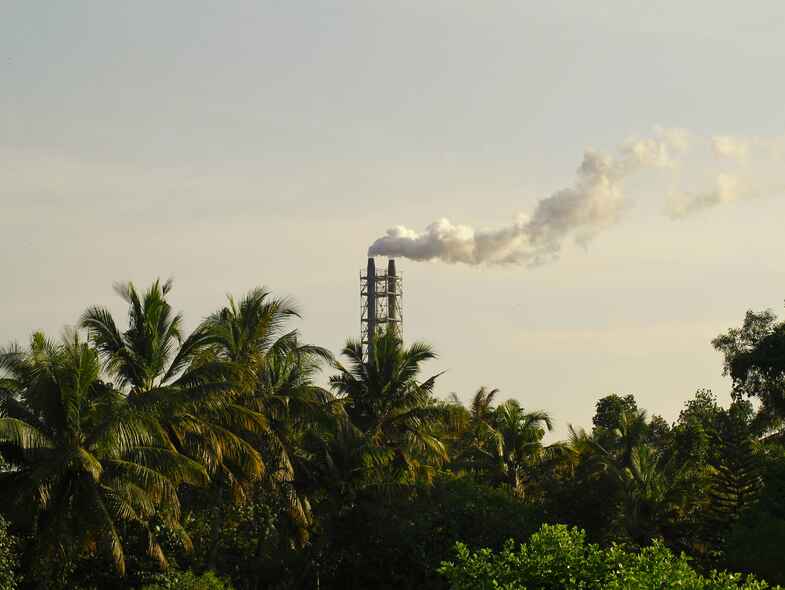 A guide to carbon-conscious living