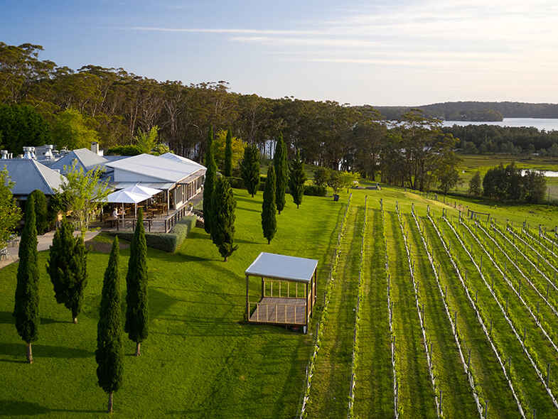 From capital to coast: the best wine, beer and liquor. From capital to coast: the best wine, beer and liquor.