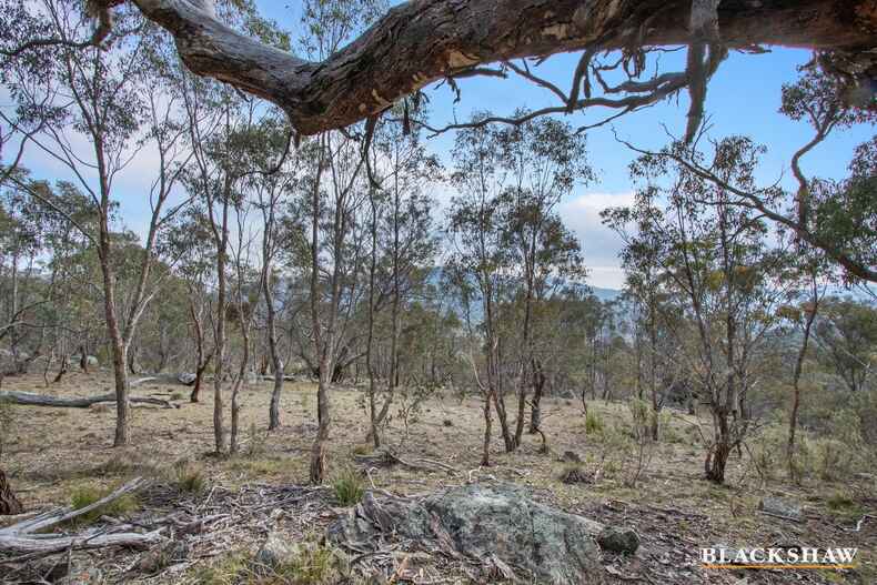 156 Hutchinson Place Burra