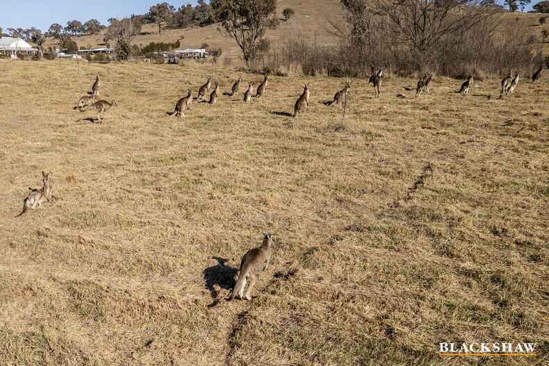 41 Kingfisher Lane Burra 41 Kingfisher Lane Burra