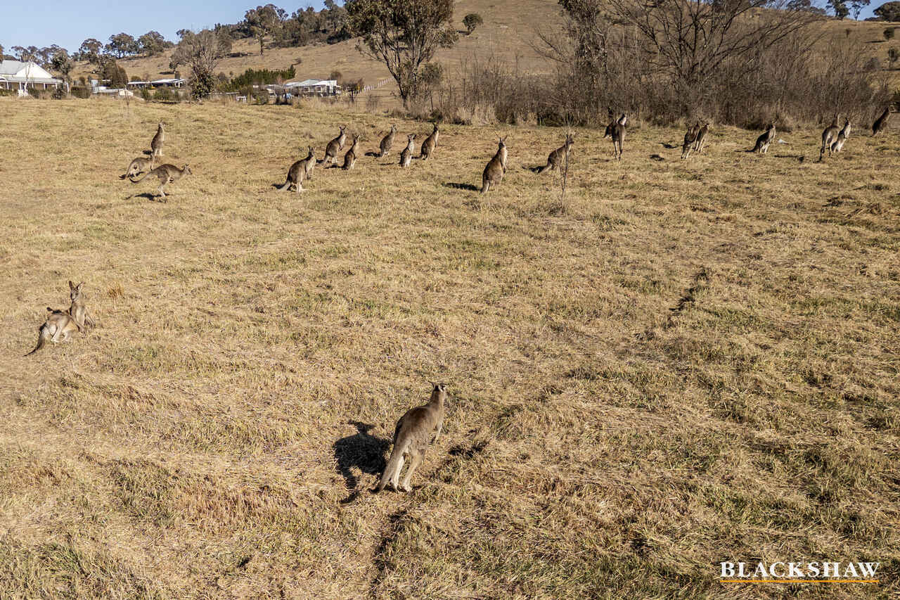 41 Kingfisher Lane Burra