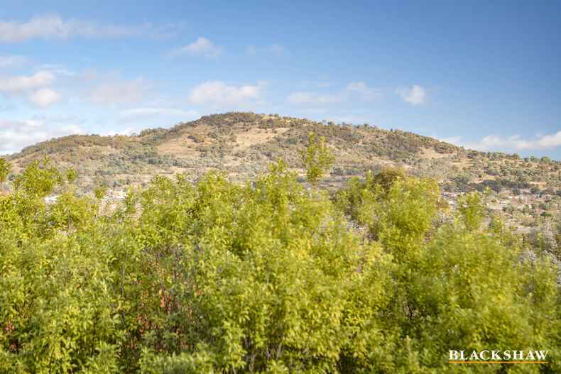 3/153 Shackleton Circuit Mawson 3/153 Shackleton Circuit Mawson