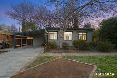 144 Captain Cook Crescent Narrabundah