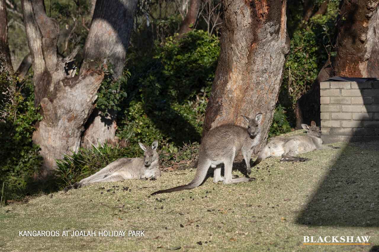 15 Flinders Road Durras North