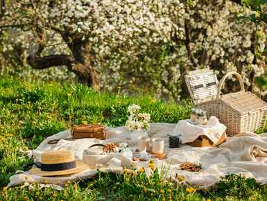 The joy of picnics The joy of picnics