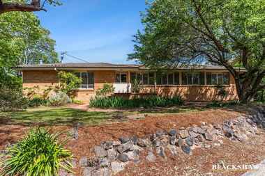 19  Basedow Street Torrens