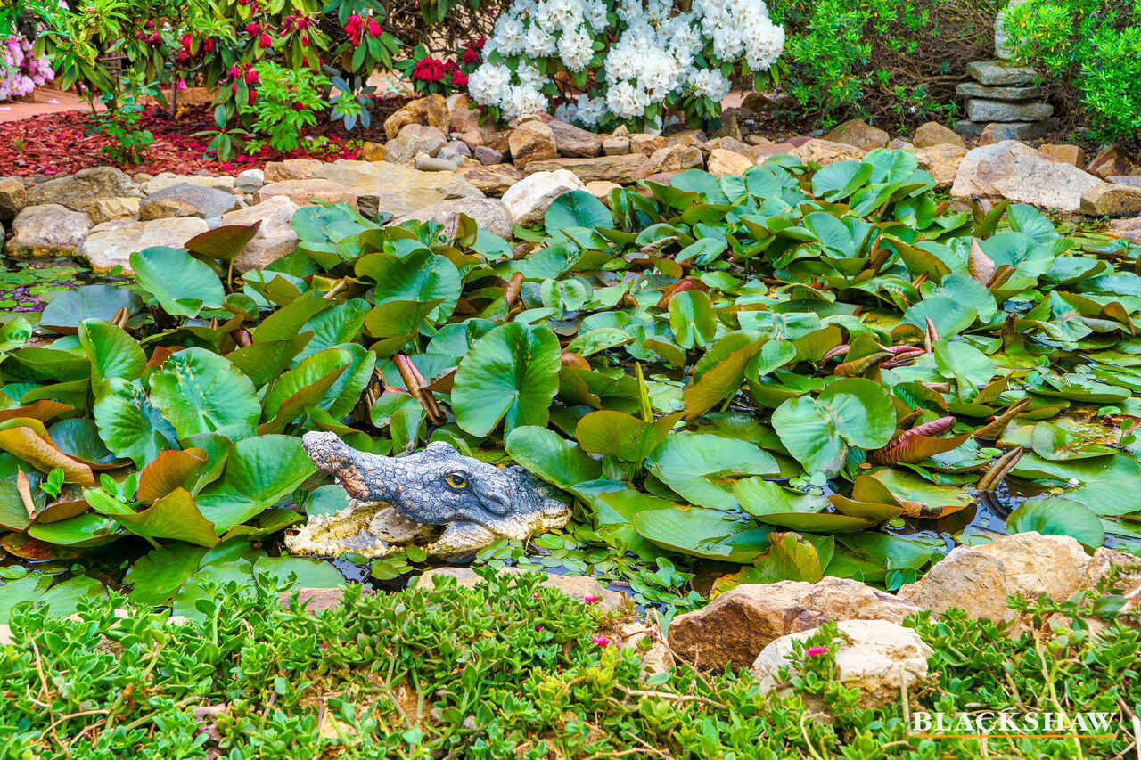 11 Meyers Place Macgregor