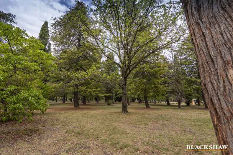 7/42 Henty Street Braddon