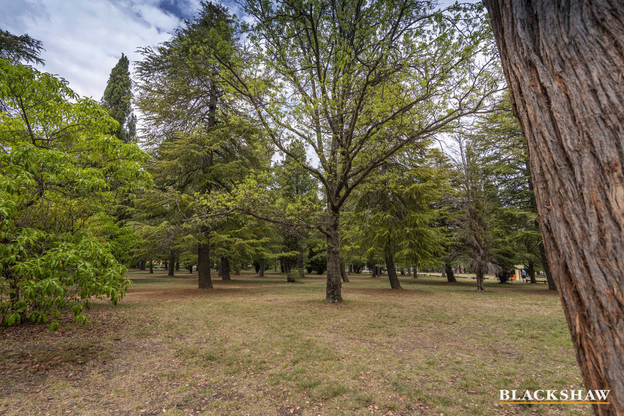 7/42 Henty Street Braddon