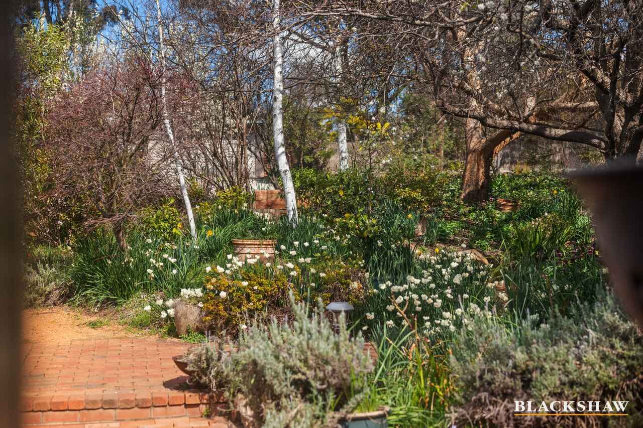 9 Lomandra Street O'Connor