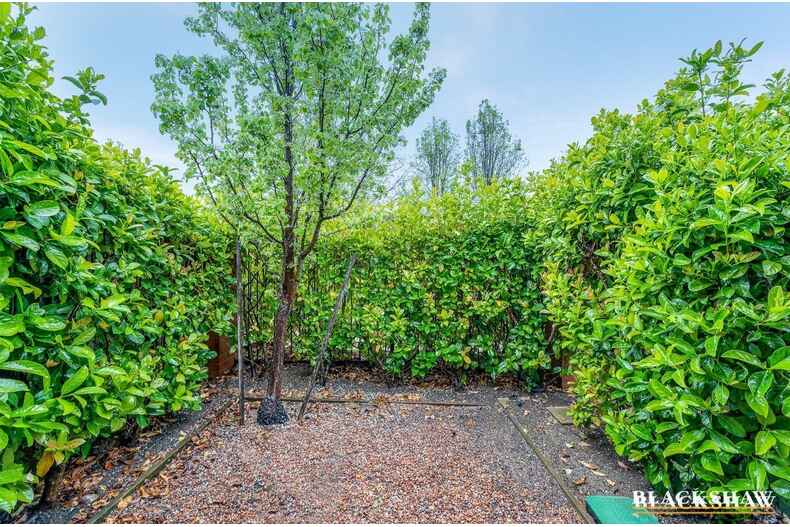 10/10 Charles Perkins Circuit Bonner