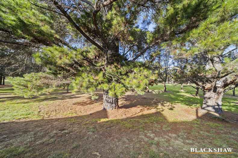 159/50 Ellenborough Street Lyneham