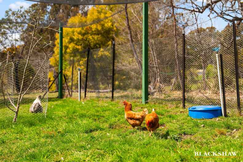 98 Harriott Road Bywong