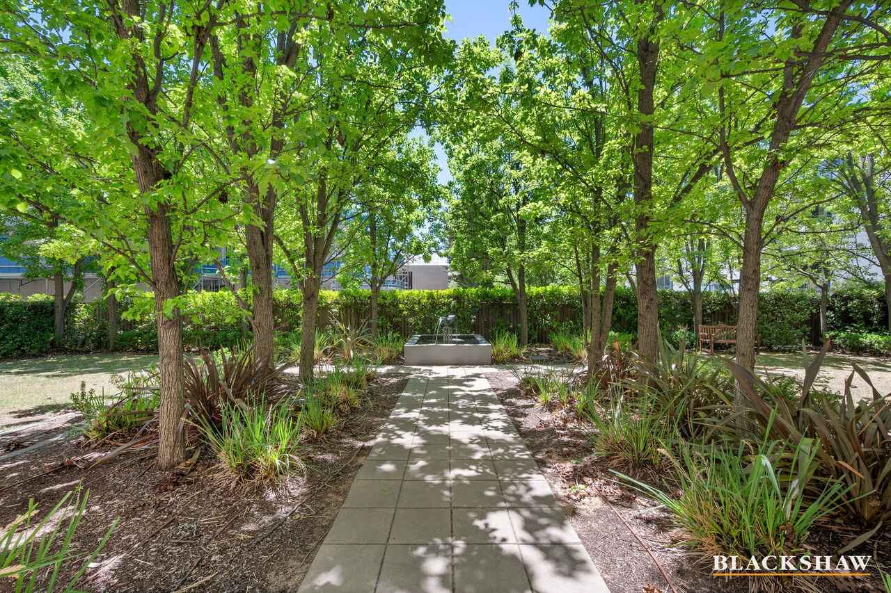 21/27 Cunningham Street Kingston