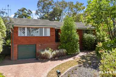 85 Fitchett Street Garran