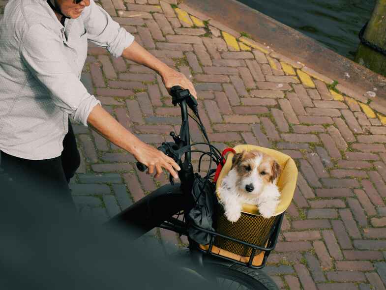 The best cycling routes across Canberra and the South Coast