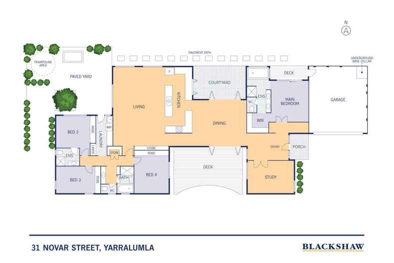 31 Novar Street Yarralumla