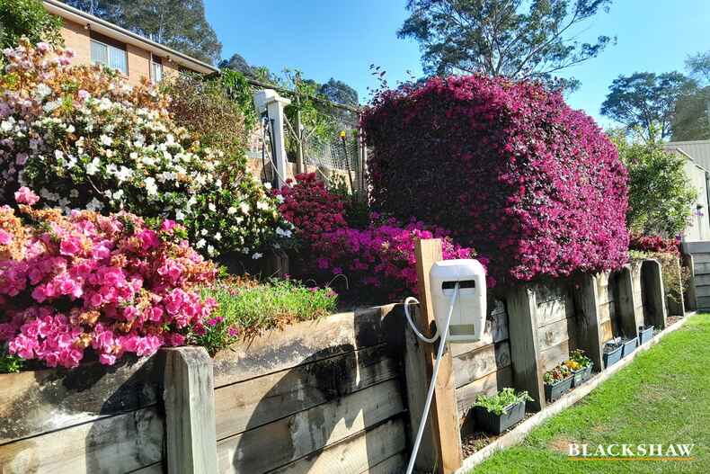 18   Angophora Place Catalina