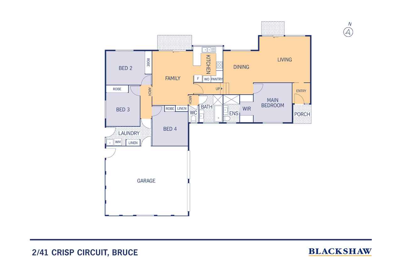 2/41 Crisp Circuit Bruce