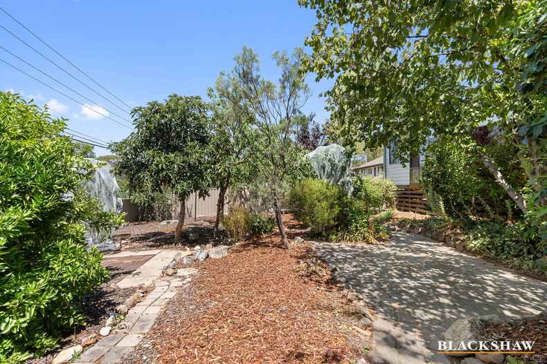 65 Croton Street Rivett