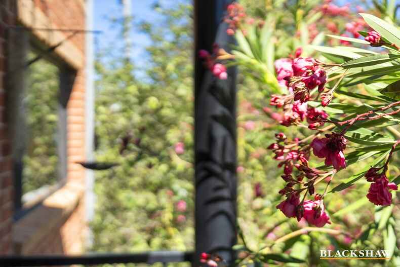 39/19 Ijong Street Braddon