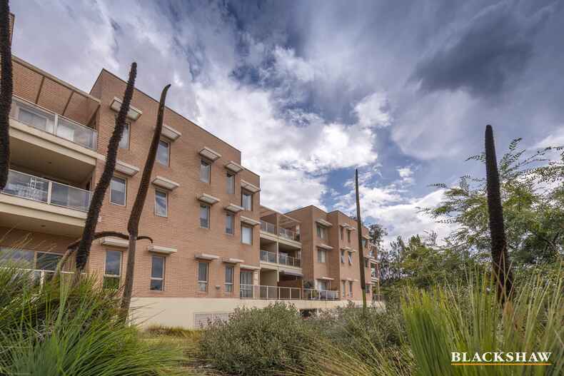 9/17 Bowman Street Macquarie