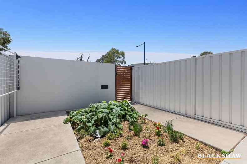 6A Freshwater Street Throsby 6A Freshwater Street Throsby