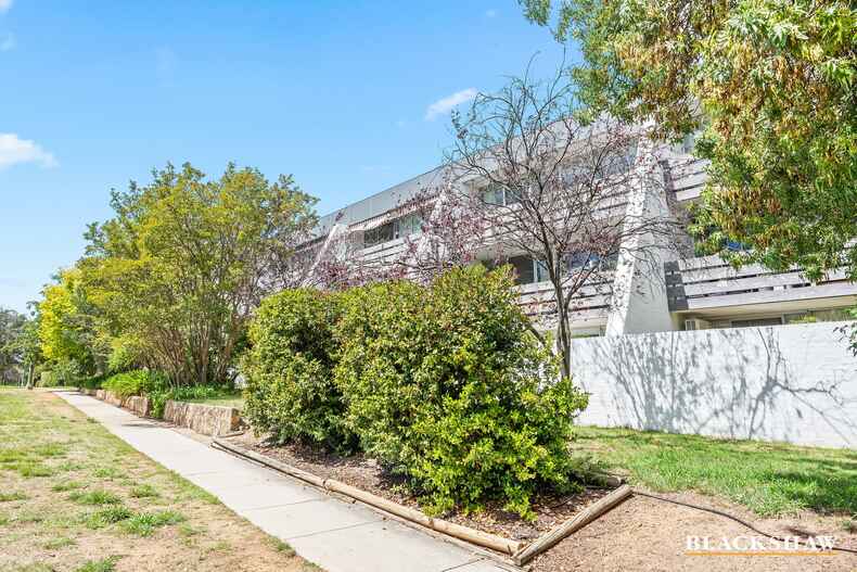 24/8 Giles Street Griffith