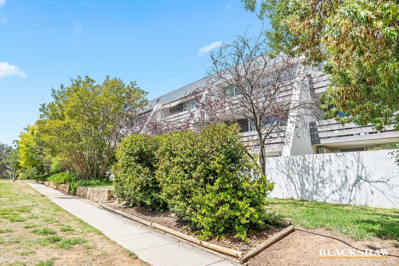 24/8 Giles Street Griffith