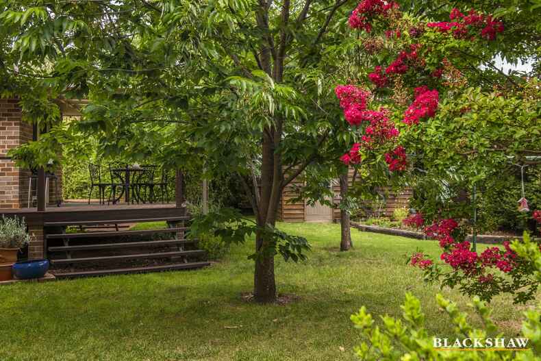 38 Carrington Street Deakin 38 Carrington Street Deakin