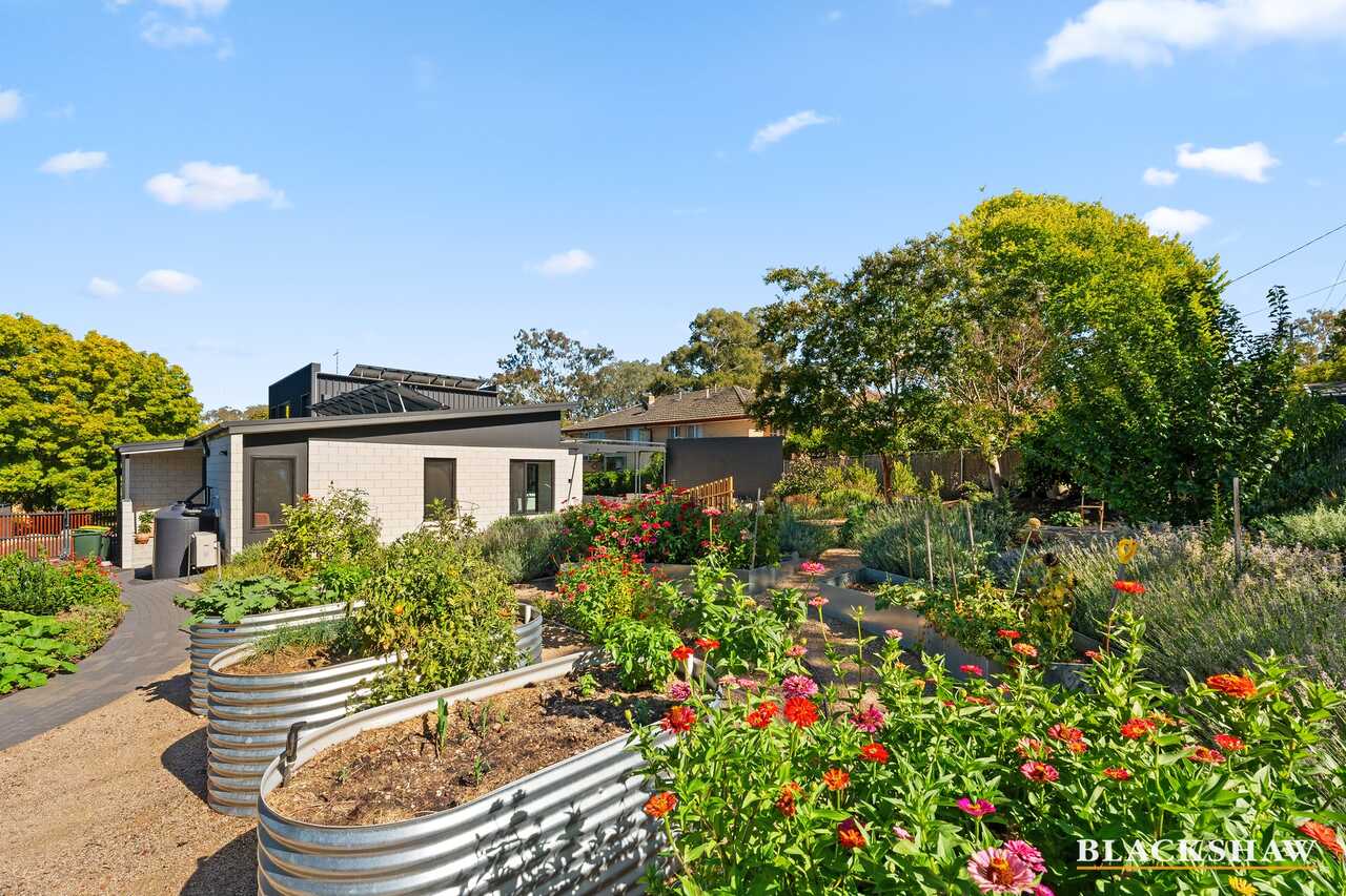 4 Godfrey Street Campbell