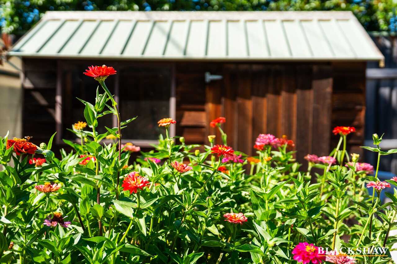 4 Godfrey Street Campbell