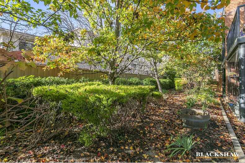 51/19 Ijong Street Braddon 51/19 Ijong Street Braddon