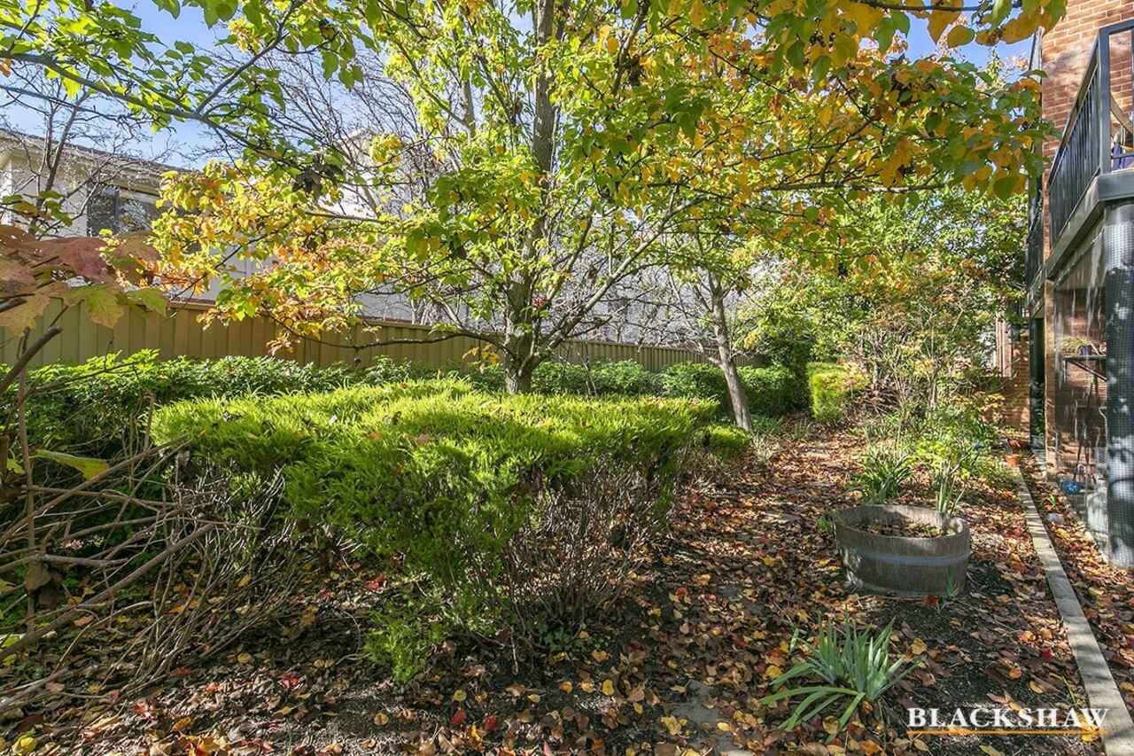 51/19 Ijong Street Braddon