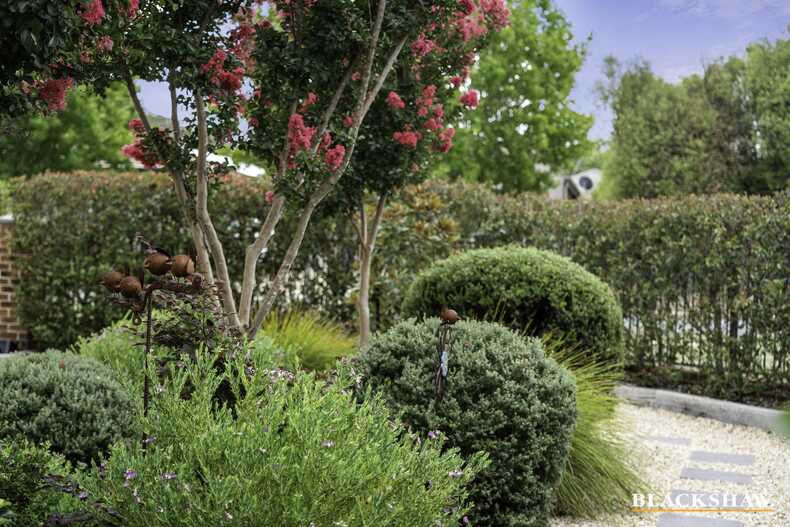 22 Westerman Street Casey