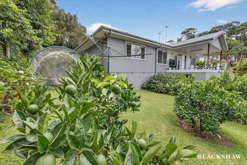 31 Endeavour Avenue Lilli Pilli