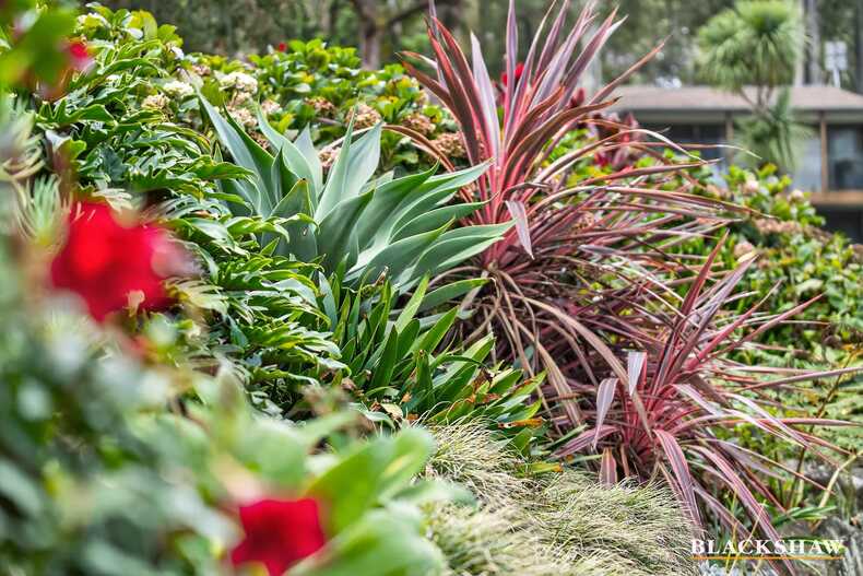 31 Endeavour Avenue Lilli Pilli